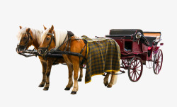 运输交通教练马团队Viaker餐具孤立打破毯子鬃毛素材