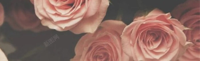 玫瑰蔷薇鲜花花朵静物唯美温暖粉色红色壁纸锁屏头像暖jpg设计背景_88icon https://88icon.com 玫瑰 蔷薇 鲜花 花朵 静物 唯美 温暖 粉色 红色 壁纸 锁屏