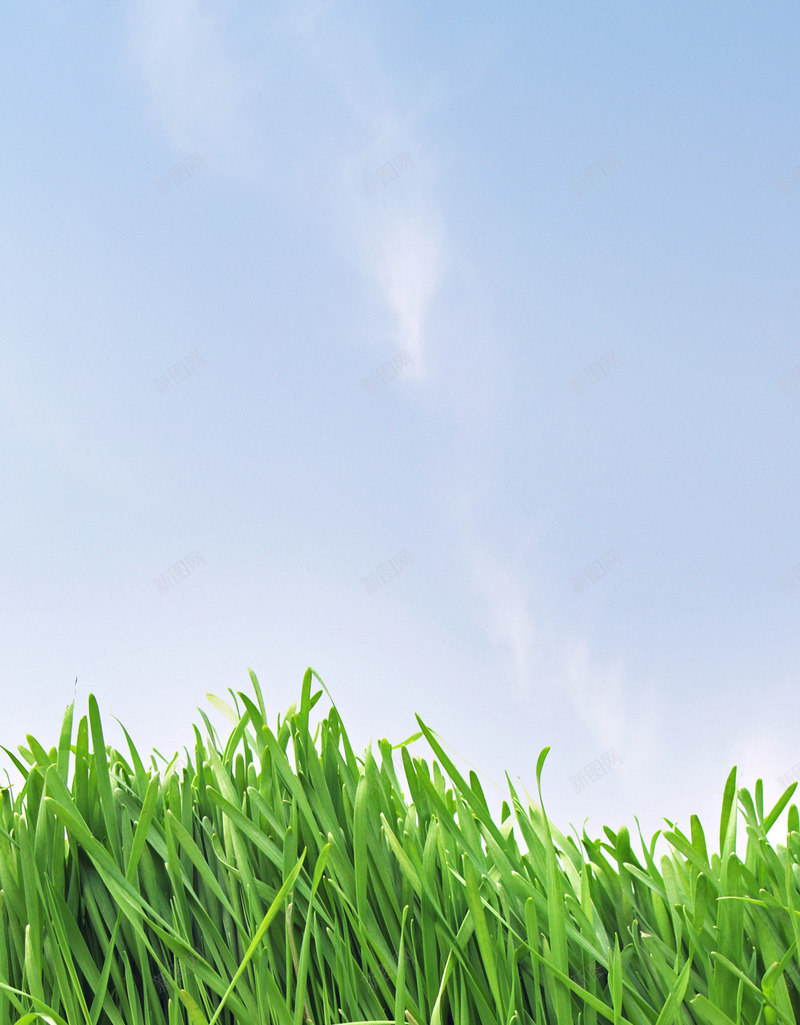 植物花纹复古卡通花朵线条图形花边图标节日潮流高清绿jpg设计背景_88icon https://88icon.com 植物 花纹 复古 卡通 花朵 线条 图形 花边 图标 节日 潮流