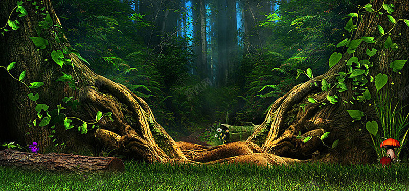 大气树根树林海报banner摄影风景图库11249jpg设计背景_88icon https://88icon.com 大气 树根 树林 海报 摄影 风景图库