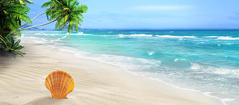 贝壳沙滩海滩蓝色海边夏日海报banner文艺小清新jpg设计背景_88icon https://88icon.com 贝壳 沙滩 海滩 蓝色 海边 夏日 海报 文艺 清新