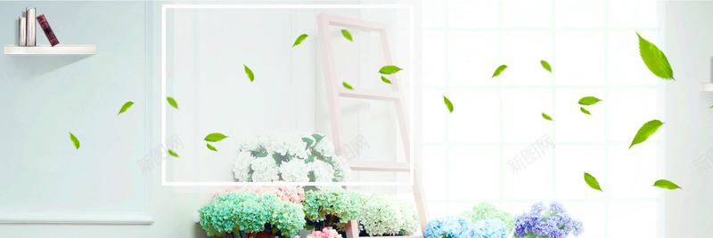 天猫淘宝摄影墙绿叶梯子窗户书架鲜花客厅居家清新文艺背景