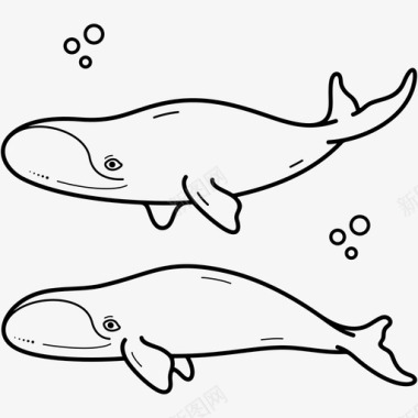 弓头鲸阿拉斯加州海洋哺乳动物图标