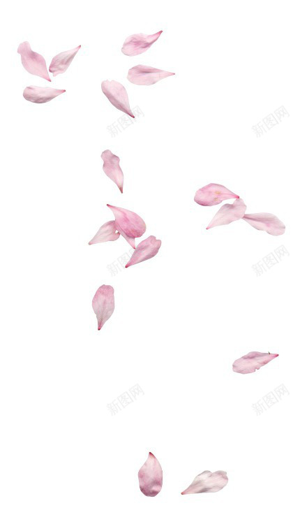 PS各种花瓣飘飘洒洒的花瓣们共有100张下载httjpg设计背景_88icon https://88icon.com 花瓣 各种 飘飘 洒洒 共有 张下载 下载