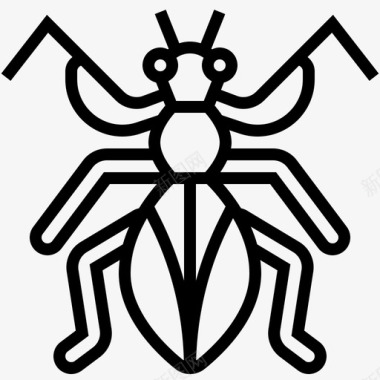 保护色螳螂螳螂昆虫学昆虫图标