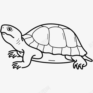 乌龟彩绘乌龟伊利诺伊州爬行动物图标