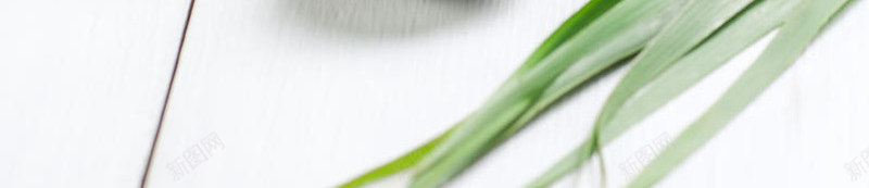 粽子食品绿色传统室内食物天然节日端午粽子中国美味无jpg设计背景_88icon https://88icon.com 粽子 食品 绿色 传统 室内 食物 天然 节日 端午 中国 美味