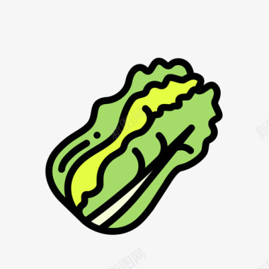 大白菜图标