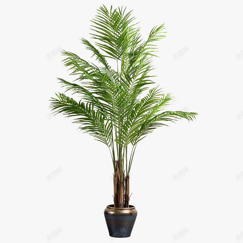 O2北欧风格室内大型落地仿真树假植物盆栽盆景装饰绿png免抠素材_88icon https://88icon.com 北欧 风格 室内 大型 落地 仿真 树假 植物 盆栽 盆景 装饰