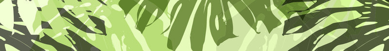 纯图植物鲜花树叶矢量图库服装图案设计时装设计图案高jpg设计背景_88icon https://88icon.com 图案 设计 纯图 植物 鲜花 树叶 矢量 矢量图 图库 服装 时装