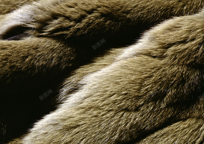 木纹皮革材质纹理瓷砖地砖石头贴图底纹布纹渲染材质3jpg设计背景_88icon https://88icon.com 材质 木纹 皮革 纹理 瓷砖 地砖 石头 贴图 底纹 布纹 渲染