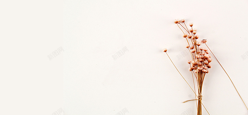 文艺复古小清新环保ppt海报banner简约图库3jpg设计背景_88icon https://88icon.com 文艺 复古 清新 环保 海报 简约 图库