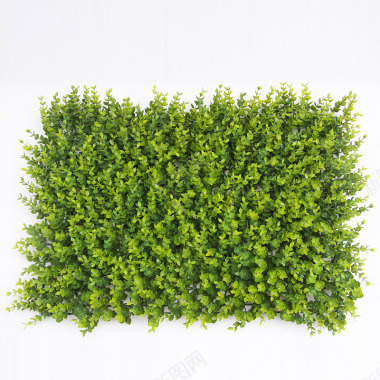 仿真植物墙绿化墙体仿真草坪地毯草皮阳台绿植装饰绿色背景