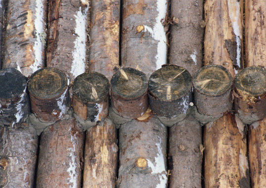 材质纹理瓷砖地砖石头贴图底纹布纹渲染材质无缝贴图纸背景