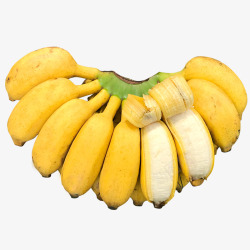 自然熟现摘小米蕉当季新鲜水果10斤整箱自然熟banana高清图片