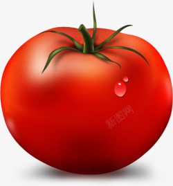 手绘西红柿番茄果蔬食物集中营素材