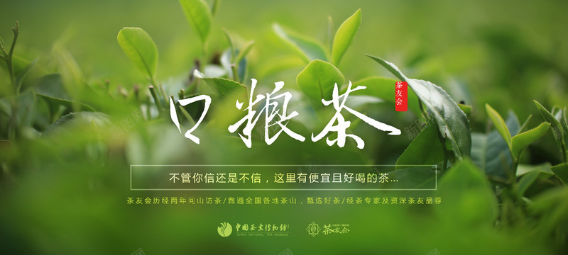 茶类春茶秋茶铁观音普洱菊花jpg设计背景_88icon https://88icon.com 茶类 春茶 秋茶 铁观音 普洱 菊花