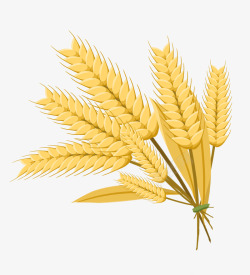 高品质金色麦穗标志徽章装饰边框盾牌欧式花纹图案小麦素材