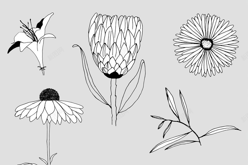 创意植物鲜花图案花卉图案与纹理GraphicFlojpg设计背景_88icon https://88icon.com 图案 创意 植物 鲜花 花卉 纹理