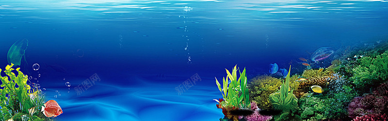 海底世界海底海洋海草深海鱼缸光海报banner文艺背景