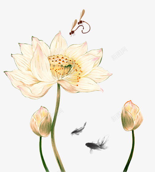 终有见花虫鸟草古风png免抠素材_88icon https://88icon.com 终有 花虫 鸟草 古风