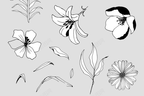 创意植物鲜花图案花卉图案与纹理GraphicFlo背景