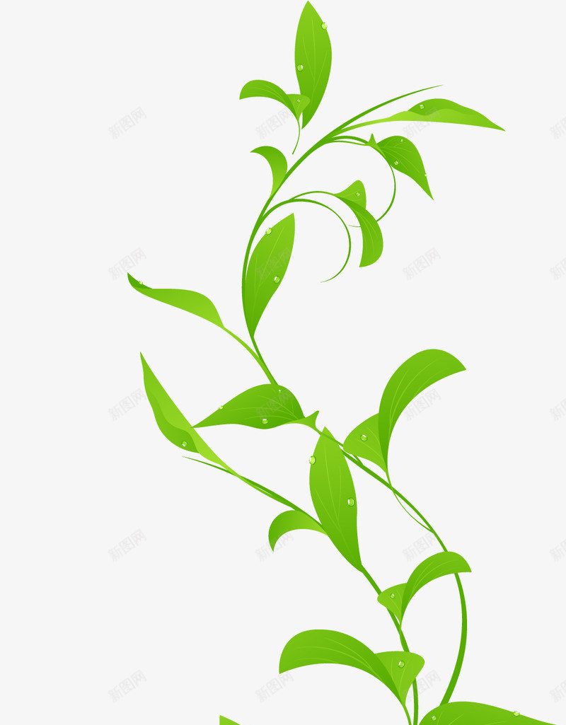 手绘绿叶清明踏青海报植物png免抠素材_88icon https://88icon.com 手绘 绿叶 清明 踏青 海报 植物