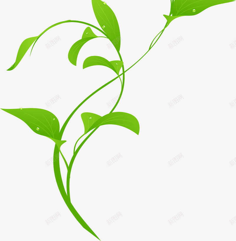 手绘绿叶清明踏青海报植物png免抠素材_88icon https://88icon.com 手绘 绿叶 清明 踏青 海报 植物