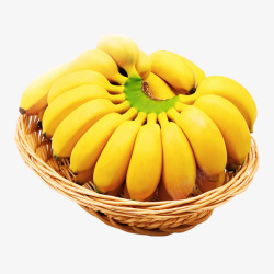 寻味君广西香蕉小米蕉10斤带箱新鲜水果京东生鲜价格素材