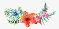 手绘水彩森系植物花卉火烈鸟贺卡装饰图案手账幅4素材