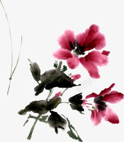 中国古风水墨花手绘水彩植物花卉装饰透明ps103素材