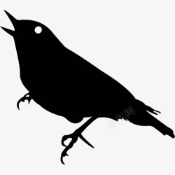 各类动物昆虫黑白剪影AI矢量图案图标合集176素材