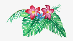 手绘水彩森系植物花卉火烈鸟贺卡装饰图案手账幅1素材