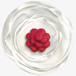 欧式复古巴黎浪漫玫瑰花朵装饰图案影楼48素材