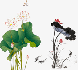 芦苇PE花盛开的夏荷花中国风水墨素材荷花高清图片