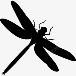 各类动物昆虫黑白剪影AI矢量图案图标合集583素材
