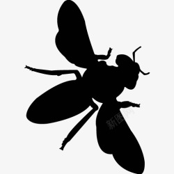 各类动物昆虫黑白剪影AI矢量图案图标合集216素材