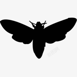 各类动物昆虫黑白剪影AI矢量图案图标合集434素材