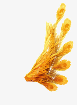 翎羽手绘孔雀翎羽透明装饰高清图片