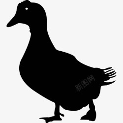 各类动物昆虫黑白剪影AI矢量图案图标合集170素材