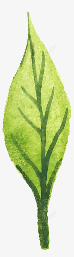 手绘水彩森系植物花卉火烈鸟贺卡装饰图案手账幅55素材