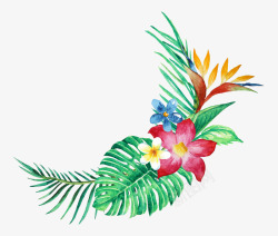 手绘水彩森系植物花卉火烈鸟贺卡装饰图案手账幅2素材