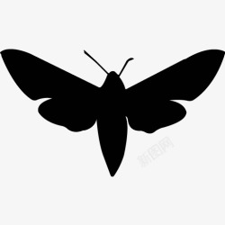 各类动物昆虫黑白剪影AI矢量图案图标合集43素材