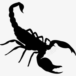 各类动物昆虫黑白剪影AI矢量图案图标合集20素材