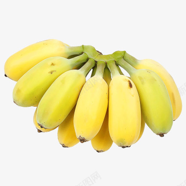 苹果蕉5斤广东小米蕉香蕉皇帝蕉新鲜应季水果批发10图标
