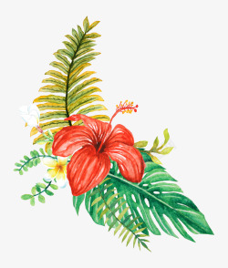 手绘水彩森系植物花卉火烈鸟贺卡装饰图案手账幅3素材