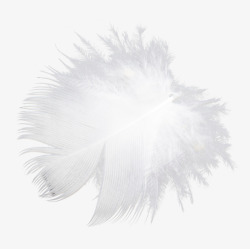 白色羽毛羽绒绒毛照片效果装饰素材