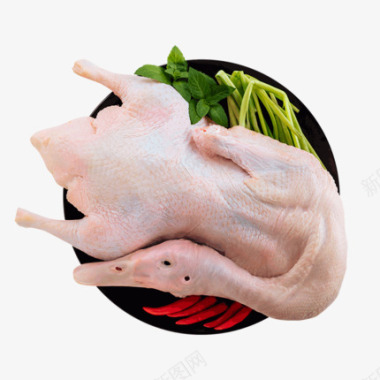 正大食品樱桃谷鸭14kg煲汤祛火鸭子生鲜食材冷冻整图标