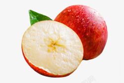苹果果实细胞培养物提取物素材