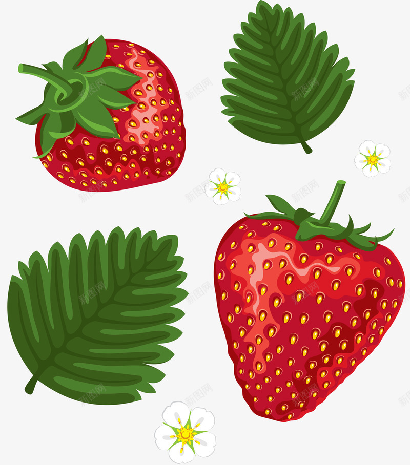 草莓食物水果免扣png免抠素材_88icon https://88icon.com 草莓 食物 水果 免扣